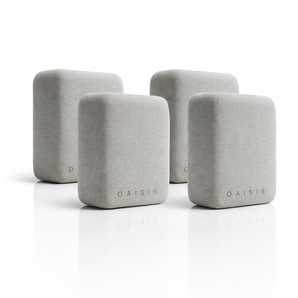 OAISIS Speaker